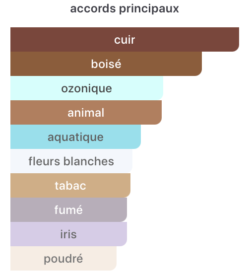Type Ombré Leather Tom Ford - Image 2