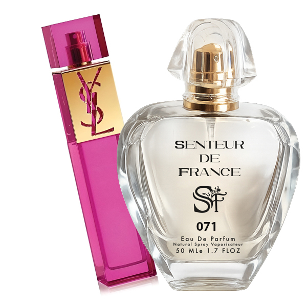 Type ELLE YSL