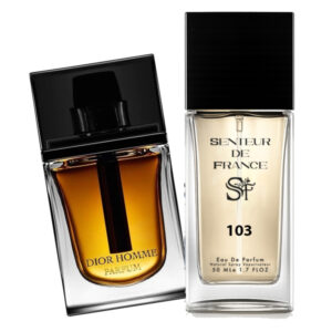 Type DIOR HOMME