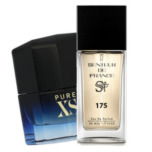 175.jpg Type PURE XS