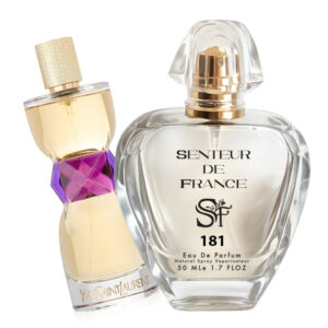 181.jpg Type MANIFESTO YSL