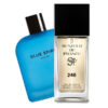 Type ZARA BLUE
