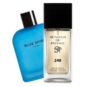 Type ZARA BLUE