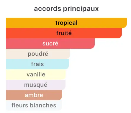 Type XERJOFF - Style Coro - Image 2